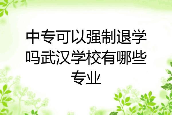 中专可以强制退学吗武汉学校有哪些专业