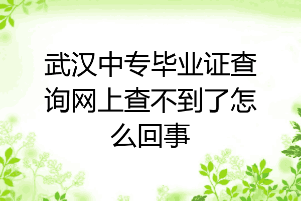武汉中专毕业证查询网上查不到了怎么回事