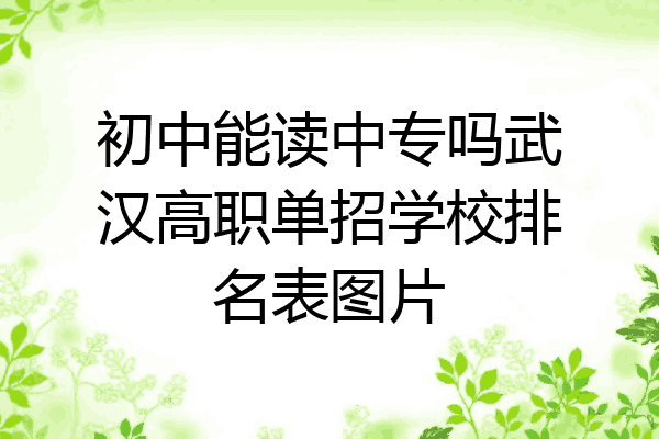 初中能读中专吗武汉高职单招学校排名表图片