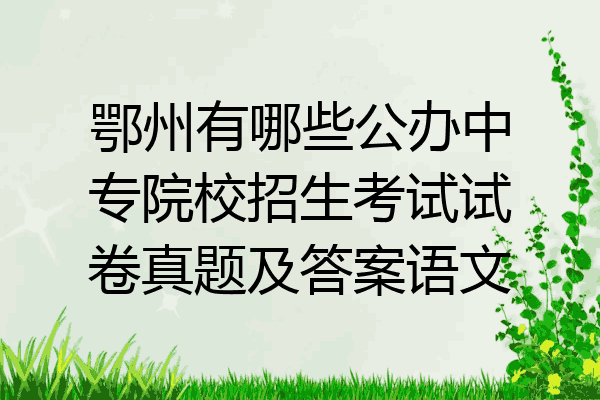 鄂州有哪些公办中专院校招生考试试卷真题及答案语文
