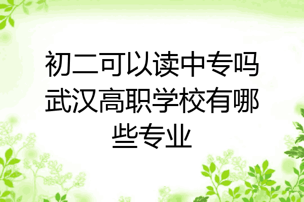 初二可以读中专吗武汉高职学校有哪些专业