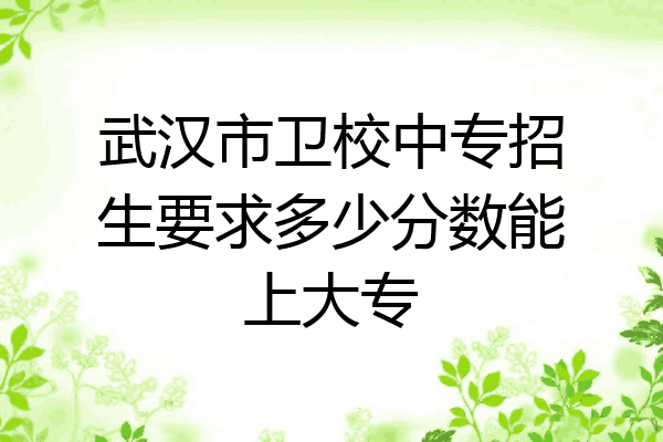 武汉市卫校中专招生要求多少分数能上大专
