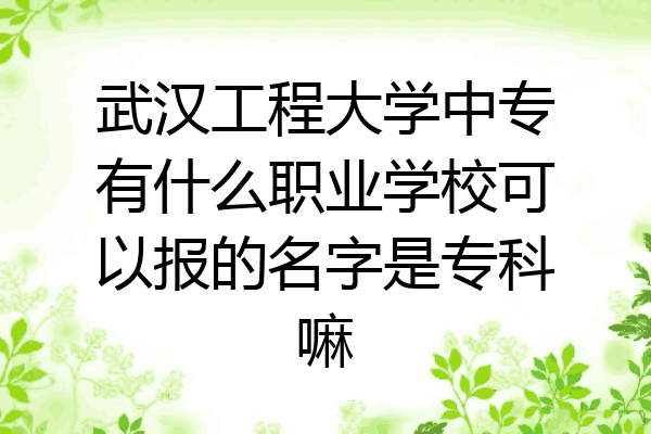 武汉工程大学中专有什么职业学校可以报的名字是专科嘛