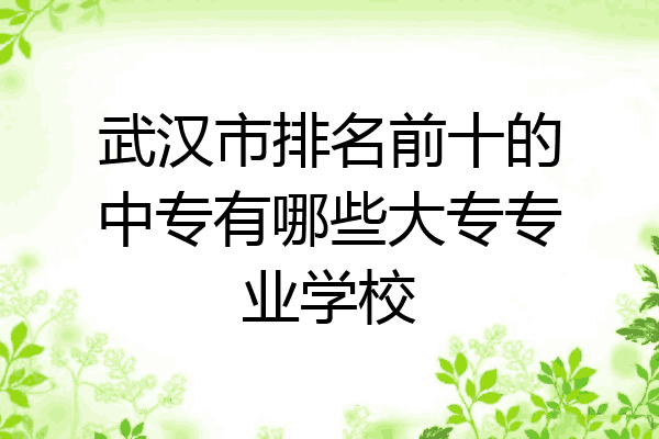 武汉市排名前十的中专有哪些大专专业学校