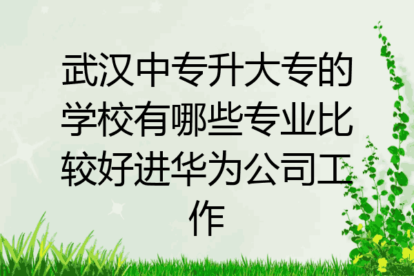 武汉中专升大专的学校有哪些专业比较好进华为公司工作