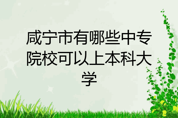 咸宁市有哪些中专院校可以上本科大学