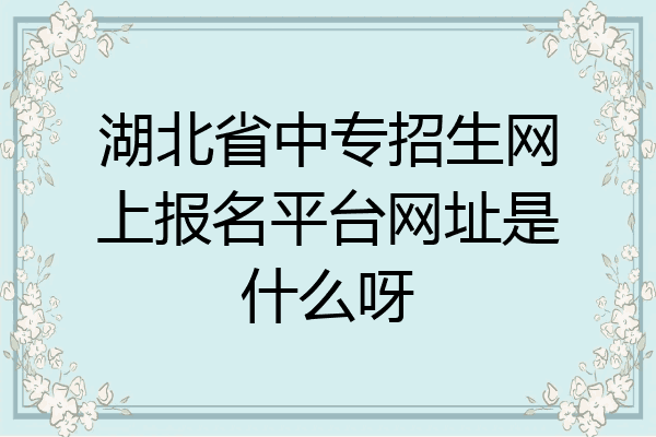 湖北省中专招生网上报名平台网址是什么呀