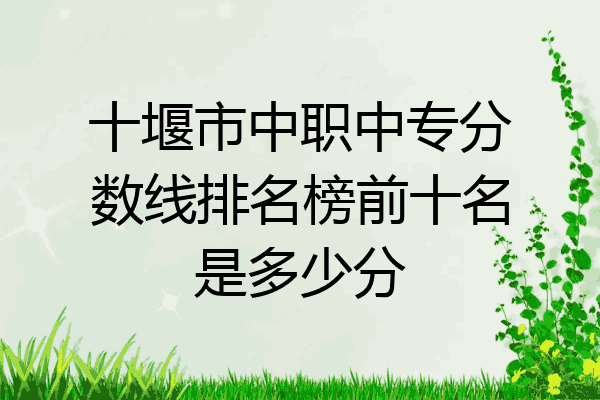 十堰市中职中专分数线排名榜前十名是多少分