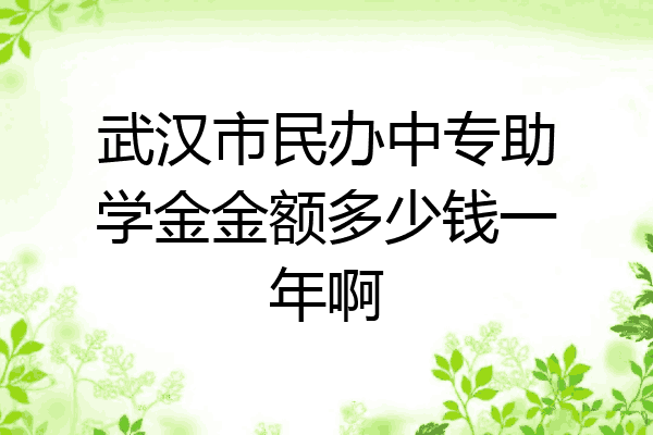 武汉市民办中专助学金金额多少钱一年啊