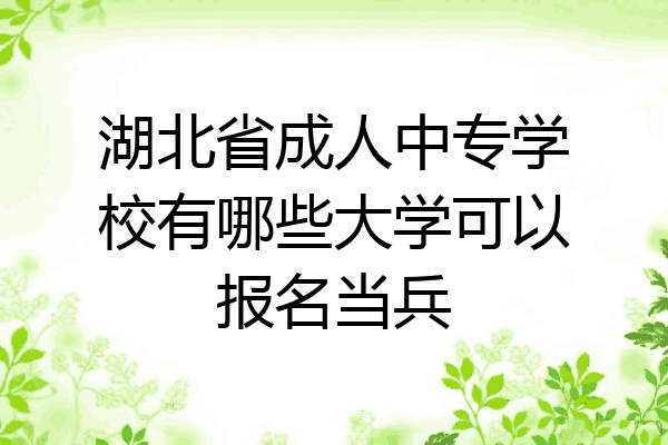 湖北省成人中专学校有哪些大学可以报名当兵