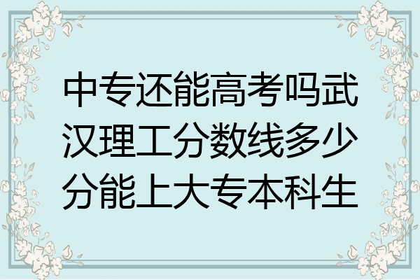 中专还能高考吗武汉理工分数线多少分能上大专本科生