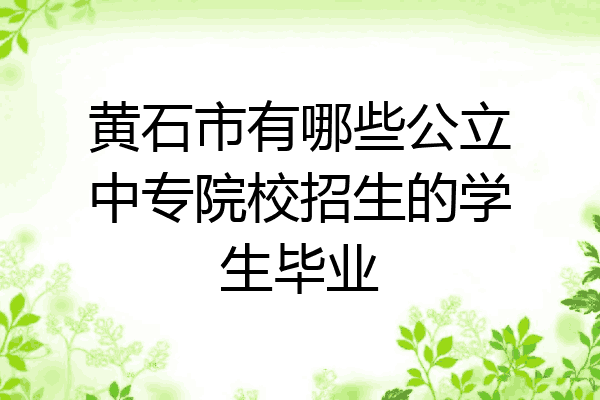 黄石市有哪些公立中专院校招生的学生毕业