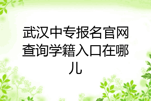 武汉中专报名官网查询学籍入口在哪儿