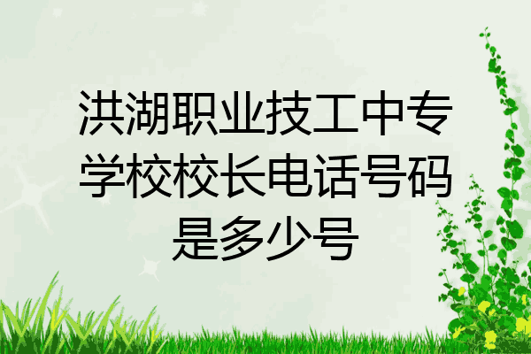 洪湖职业技工中专学校校长电话号码是多少号