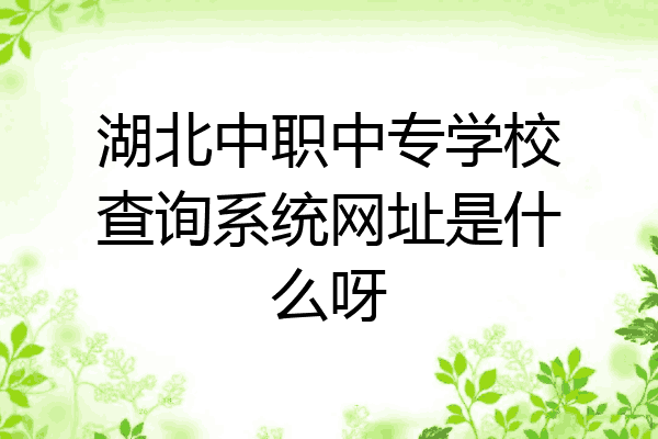 湖北中职中专学校查询系统网址是什么呀