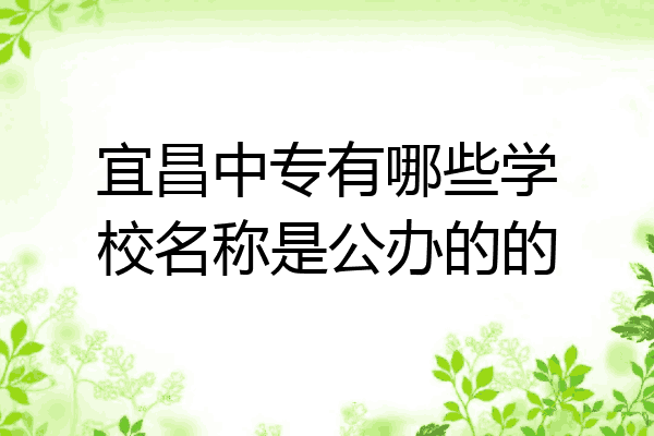 宜昌中专有哪些学校名称是公办的的
