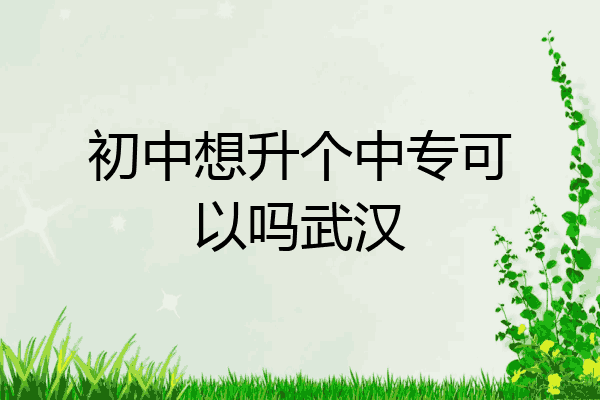 初中想升个中专可以吗武汉