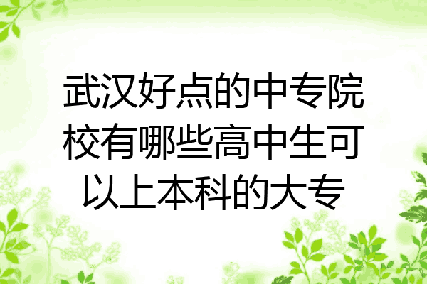 武汉好点的中专院校有哪些高中生可以上本科的大专
