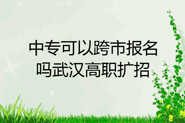 中专可以跨市报名吗武汉高职扩招
