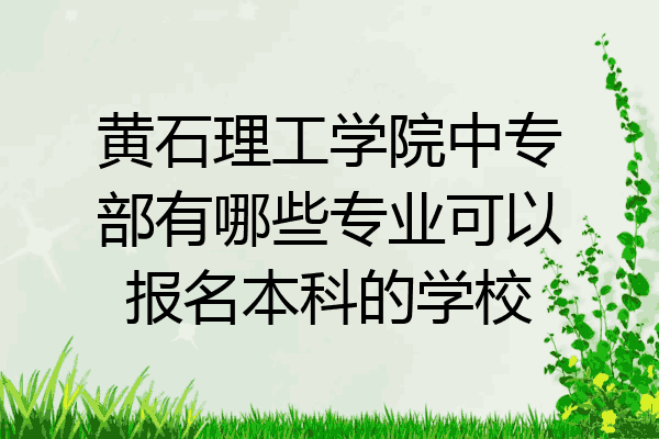 黄石理工学院中专部有哪些专业可以报名本科的学校
