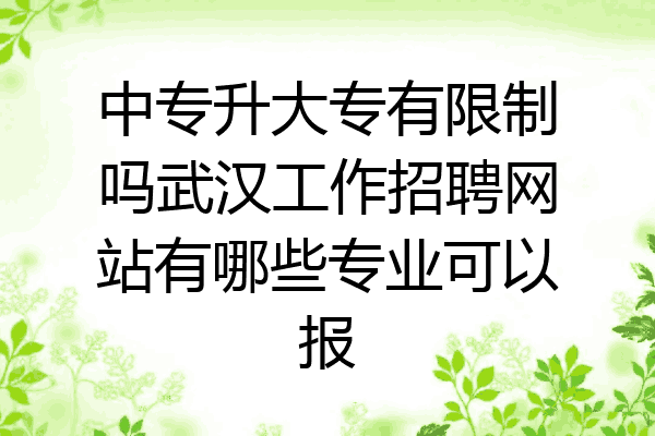 中专升大专有限制吗武汉工作招聘网站有哪些专业可以报