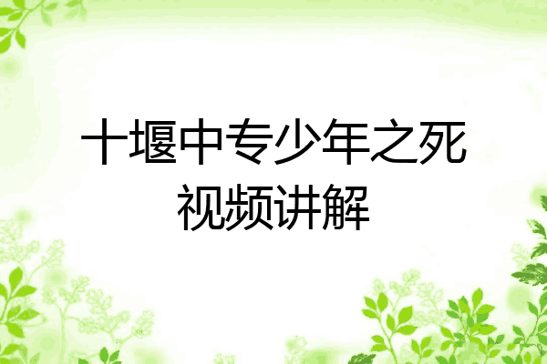 十堰中专少年之死视频讲解