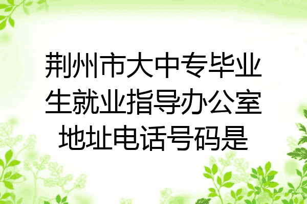 荆州市大中专毕业生就业指导办公室地址电话号码是