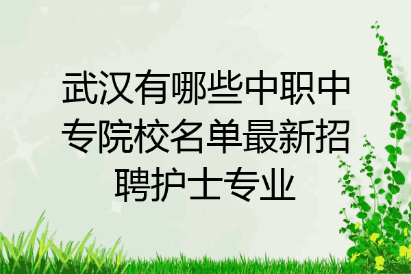 武汉有哪些中职中专院校名单最新招聘护士专业