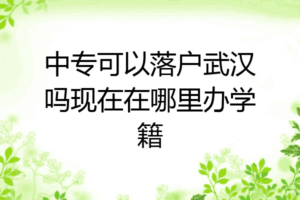 中专可以落户武汉吗现在在哪里办学籍