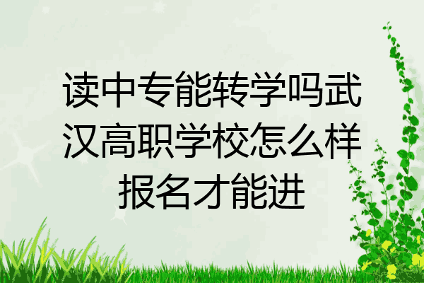 读中专能转学吗武汉高职学校怎么样报名才能进