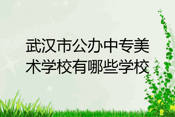 武汉市公办中专美术学校有哪些学校