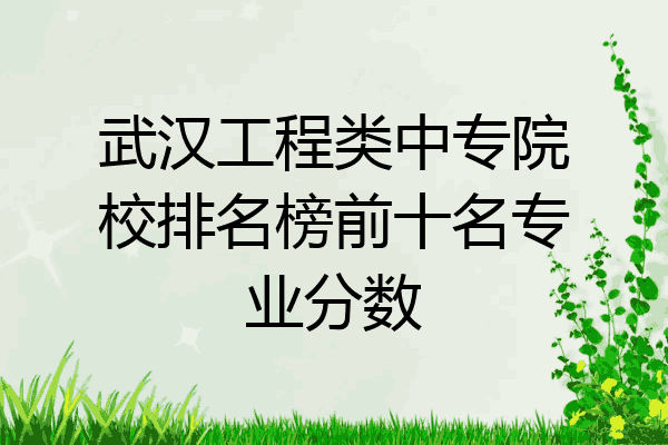 武汉工程类中专院校排名榜前十名专业分数