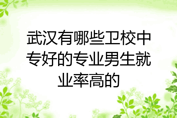 武汉有哪些卫校中专好的专业男生就业率高的