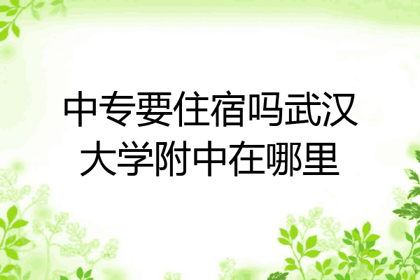 中专要住宿吗武汉大学附中在哪里