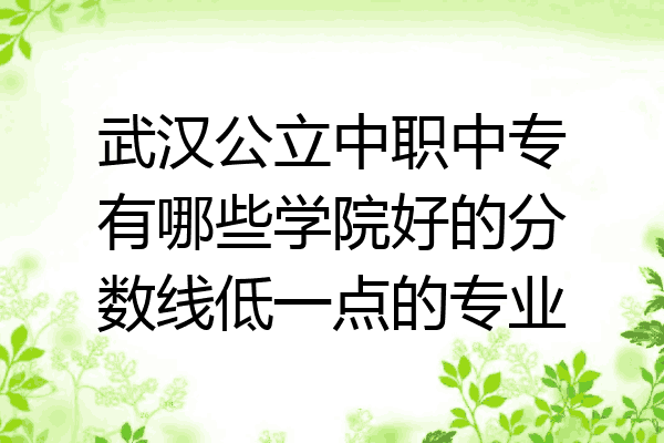 武汉公立中职中专有哪些学院好的分数线低一点的专业