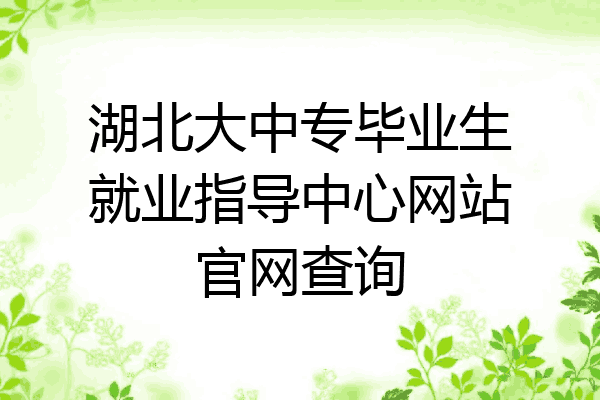 湖北大中专毕业生就业指导中心网站官网查询