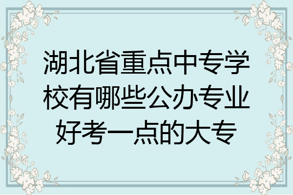 湖北省重点中专学校有哪些公办专业好考一点的大专