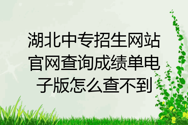 湖北中专招生网站官网查询成绩单电子版怎么查不到