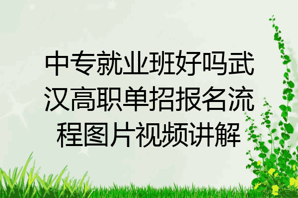 中专就业班好吗武汉高职单招报名流程图片视频讲解