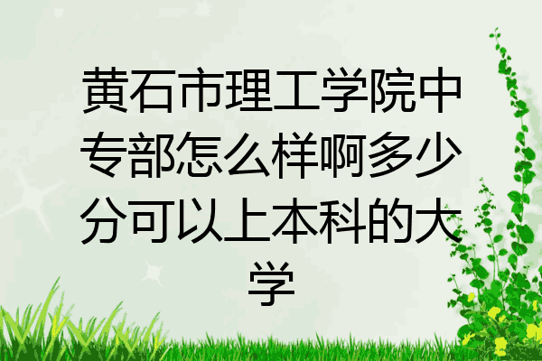 黄石市理工学院中专部怎么样啊多少分可以上本科的大学
