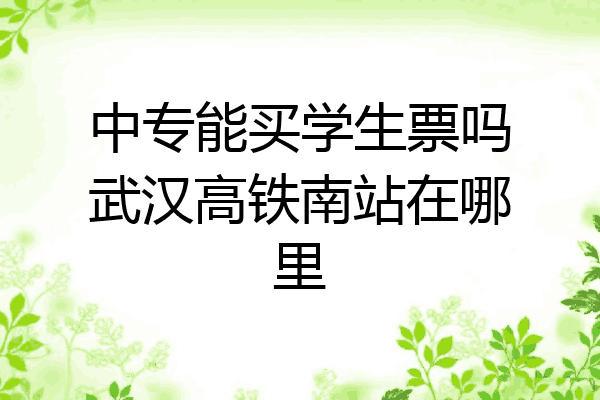 中专能买学生票吗武汉高铁南站在哪里