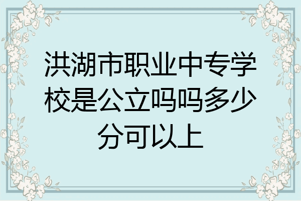 洪湖市职业中专学校是公立吗吗多少分可以上