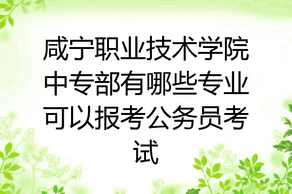 咸宁职业技术学院中专部有哪些专业可以报考公务员考试