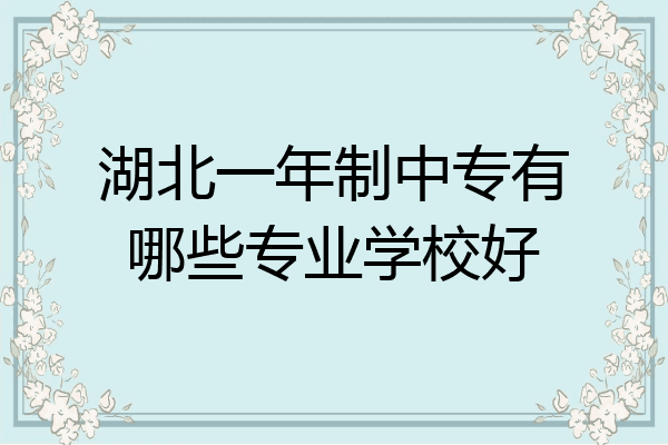 湖北一年制中专有哪些专业学校好