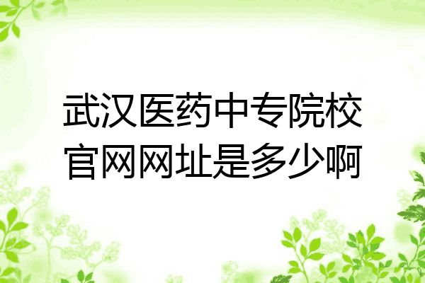 武汉医药中专院校官网网址是多少啊