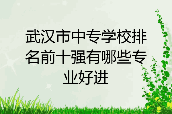 武汉市中专学校排名前十强有哪些专业好进