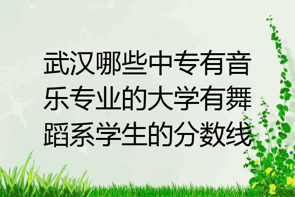 武汉哪些中专有音乐专业的大学有舞蹈系学生的分数线