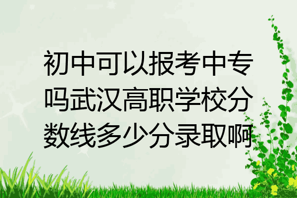 初中可以报考中专吗武汉高职学校分数线多少分录取啊