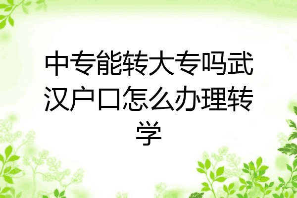 中专能转大专吗武汉户口怎么办理转学