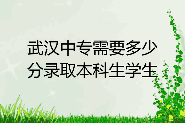 武汉中专需要多少分录取本科生学生
